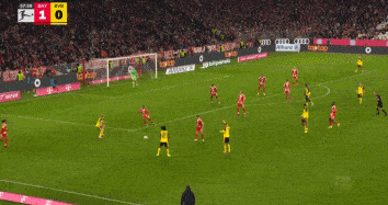 bt, 帕夫洛维奇, FL bt, 帕夫洛维奇, FL